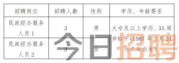 周口市市物价局最新招聘信息发布，职位空缺与申请指南