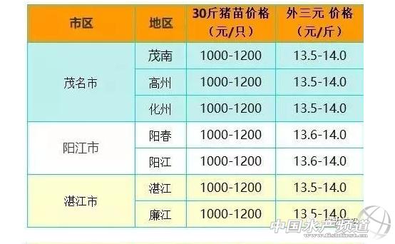 新澳天天开奖资料大全下载安装,前沿评估解析_Premium36.813