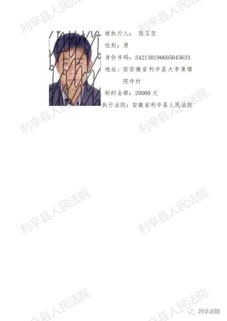 利辛最新老赖现象深度解析与探讨