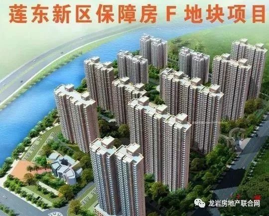 深圳市物价局最新项目概览