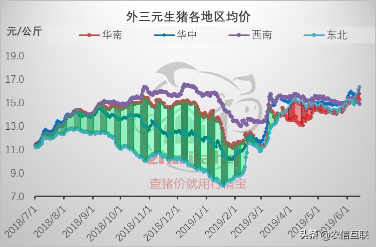 云南最新猪价行情分析与趋势预测