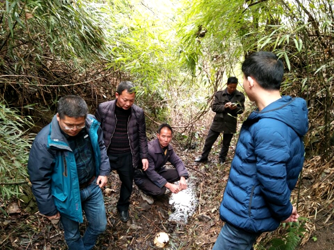 镇远县水利局最新动态报道